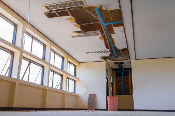 Water damage restoration mold remediation in Ballenger Creek, MD