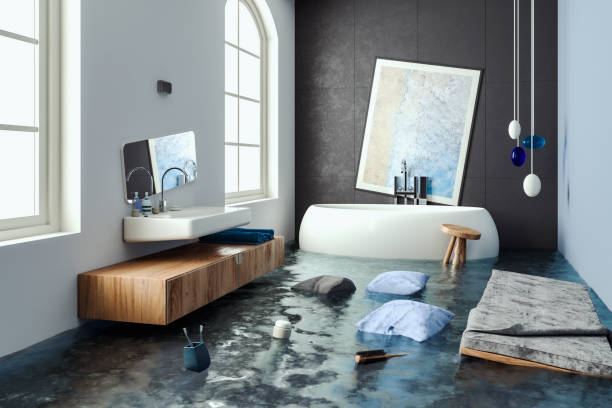Best 24-hour water damage restoration  in Ballenger Creek, MD