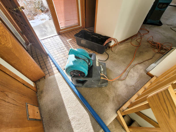 Best Professional water damage repair  in Ballenger Creek, MD