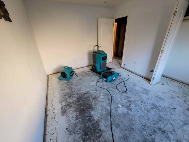 Best Flood damage cleanup  in Ballenger Creek, MD