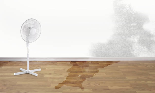 Sewage cleanup and water damage restoration in Ballenger Creek, MD