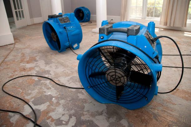 Best 24-hour water damage restoration  in Ballenger Creek, MD
