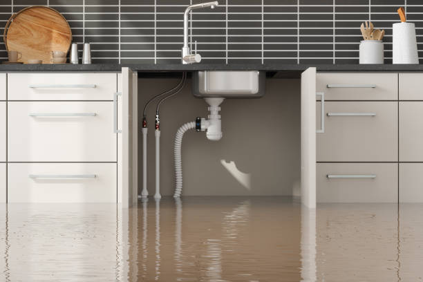 Best Commercial water damage restoration  in Ballenger Creek, MD