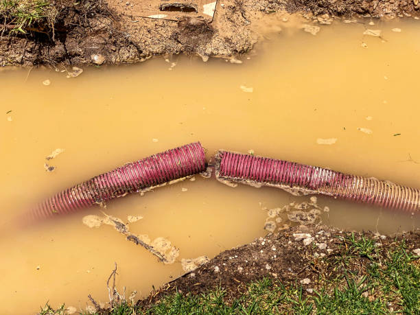 Best Emergency water damage restoration  in Ballenger Creek, MD